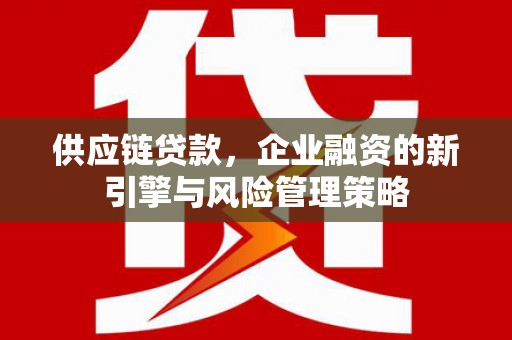 镇巴供应链贷款，企业融资的新引擎与风险管理策略
