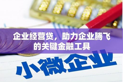 镇巴企业经营贷，助力企业腾飞的关键金融工具
