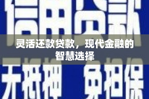 镇巴灵活还款贷款，现代金融的智慧选择