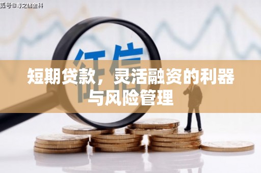 镇巴短期贷款，灵活融资的利器与风险管理