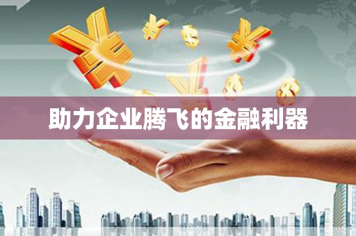 镇巴助力企业腾飞的金融利器