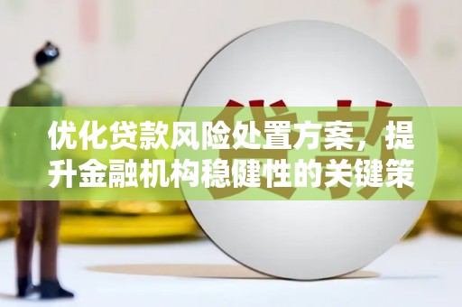 镇巴优化贷款风险处置方案，提升金融机构稳健性的关键策略