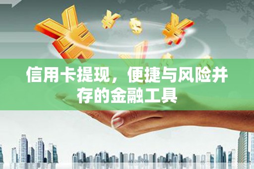 镇巴信用卡提现，便捷与风险并存的金融工具