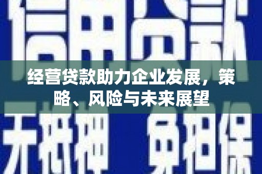 镇巴经营贷款助力企业发展，策略、风险与未来展望