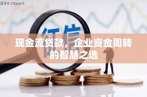 镇巴现金流贷款，企业资金周转的智慧之选