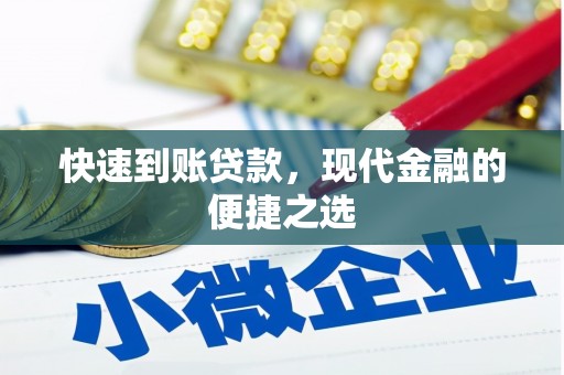 镇巴快速到账贷款，现代金融的便捷之选