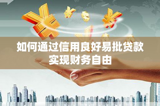 镇巴如何通过信用良好易批贷款实现财务自由