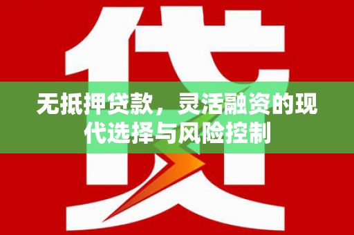 镇巴无抵押贷款，灵活融资的现代选择与风险控制