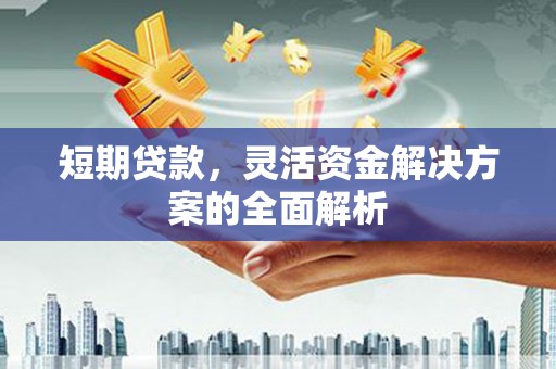 镇巴短期贷款，灵活资金解决方案的全面解析