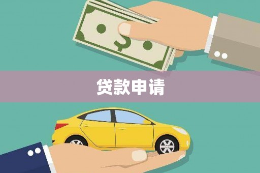 镇巴贷款申请