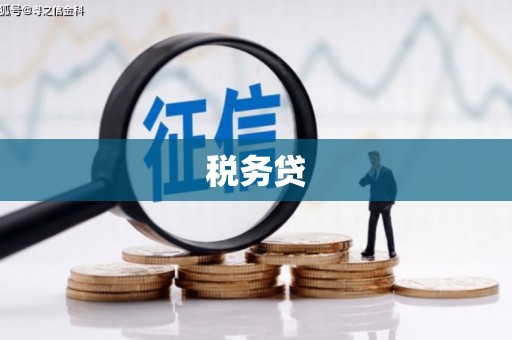 镇巴税务贷
