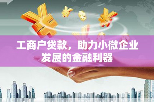 镇巴工商户贷款，助力小微企业发展的金融利器