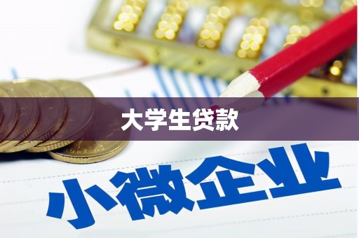镇巴大学生贷款