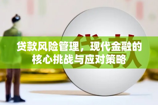 镇巴贷款风险管理，现代金融的核心挑战与应对策略