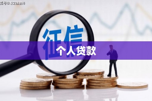 镇巴个人贷款