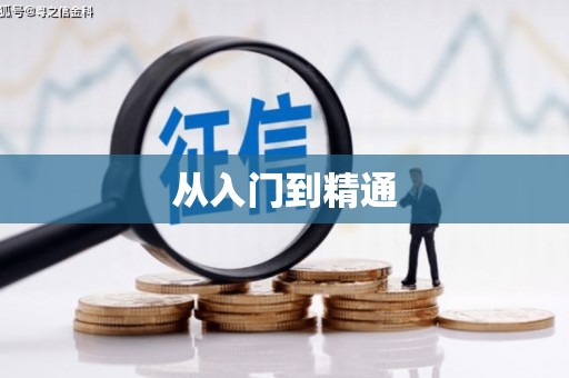 镇巴从入门到精通
