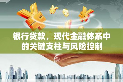 镇巴银行贷款，现代金融体系中的关键支柱与风险控制