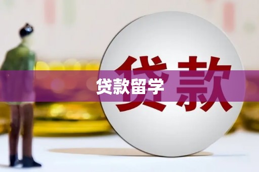 镇巴贷款留学