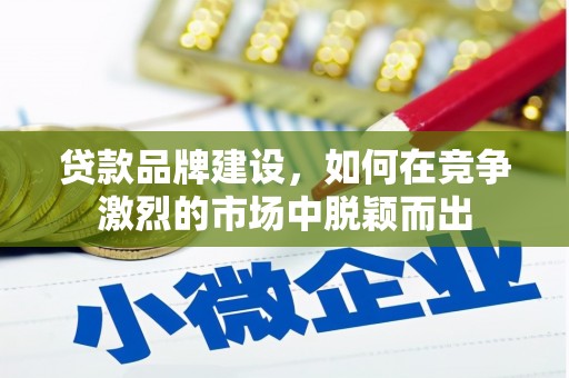 镇巴贷款品牌建设，如何在竞争激烈的市场中脱颖而出