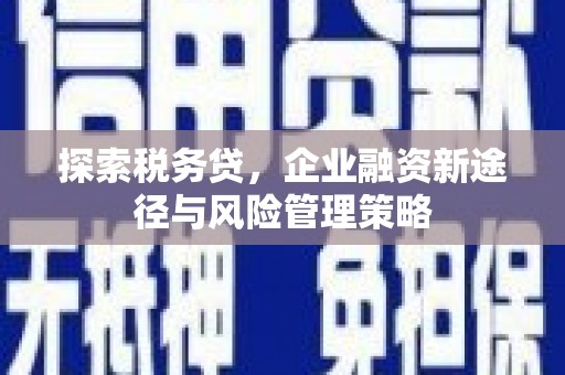镇巴探索税务贷，企业融资新途径与风险管理策略