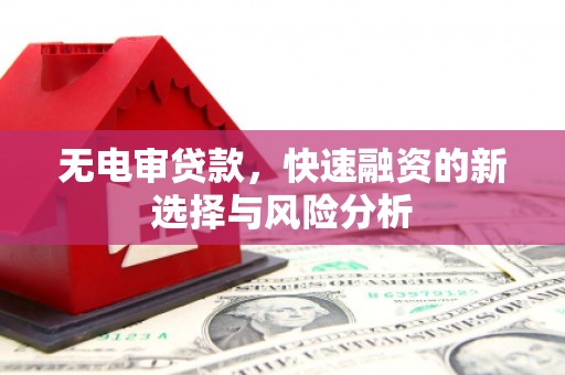 镇巴无电审贷款，快速融资的新选择与风险分析