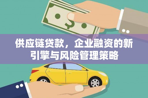镇巴供应链贷款，企业融资的新引擎与风险管理策略
