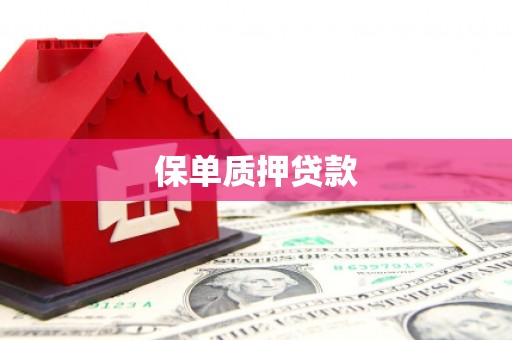 镇巴保单质押贷款