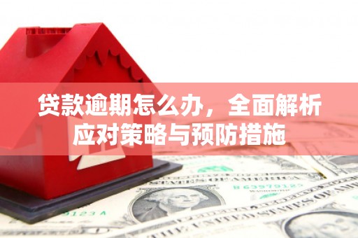 镇巴贷款逾期怎么办，全面解析应对策略与预防措施