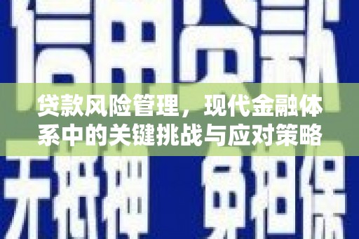镇巴贷款风险管理，现代金融体系中的关键挑战与应对策略
