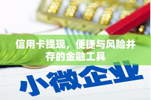 镇巴信用卡提现，便捷与风险并存的金融工具