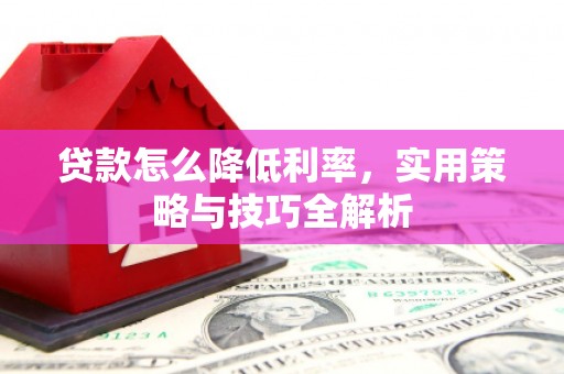 镇巴贷款怎么降低利率，实用策略与技巧全解析