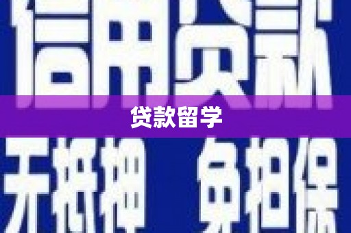 镇巴贷款留学
