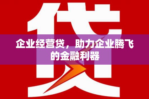 镇巴企业经营贷，助力企业腾飞的金融利器