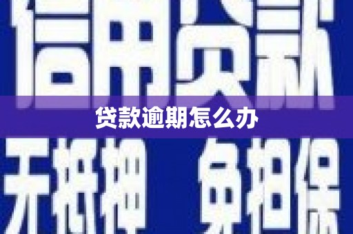 镇巴贷款逾期怎么办