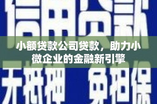 镇巴小额贷款公司贷款，助力小微企业的金融新引擎