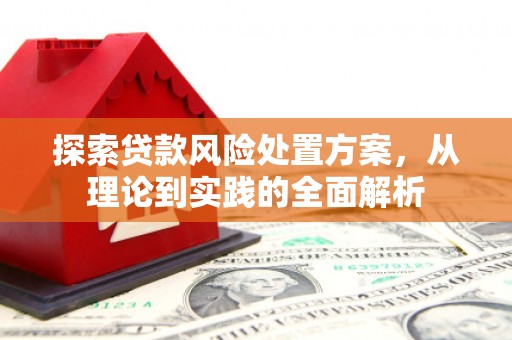 镇巴探索贷款风险处置方案，从理论到实践的全面解析