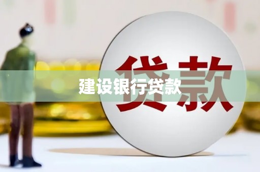 镇巴建设银行贷款