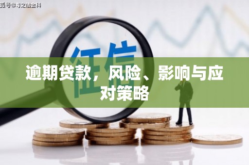 镇巴逾期贷款，风险、影响与应对策略