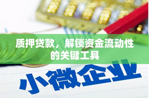 镇巴质押贷款，解锁资金流动性的关键工具