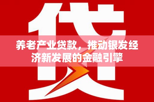 镇巴养老产业贷款，推动银发经济新发展的金融引擎