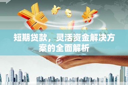 镇巴短期贷款，灵活资金解决方案的全面解析