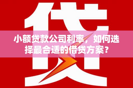 镇巴小额贷款公司利率，如何选择最合适的借贷方案？