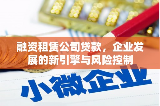 镇巴融资租赁公司贷款，企业发展的新引擎与风险控制