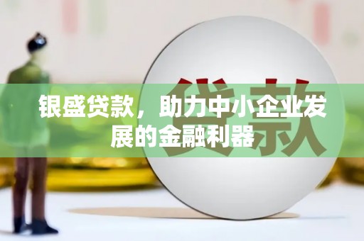 镇巴银盛贷款，助力中小企业发展的金融利器