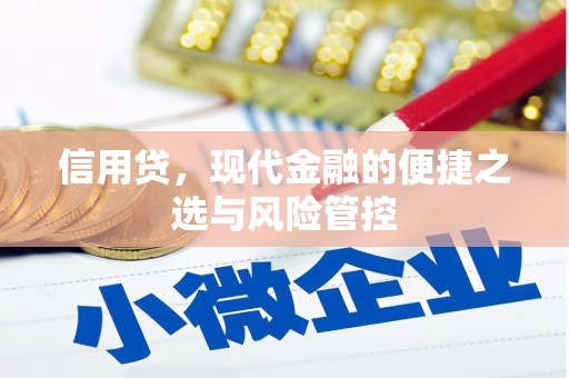 镇巴信用贷，现代金融的便捷之选与风险管控