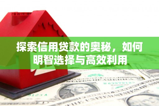 镇巴探索信用贷款的奥秘，如何明智选择与高效利用