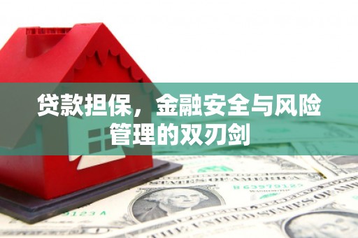 镇巴贷款担保，金融安全与风险管理的双刃剑