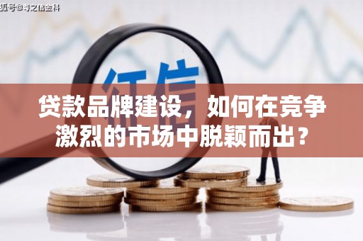 镇巴贷款品牌建设，如何在竞争激烈的市场中脱颖而出？