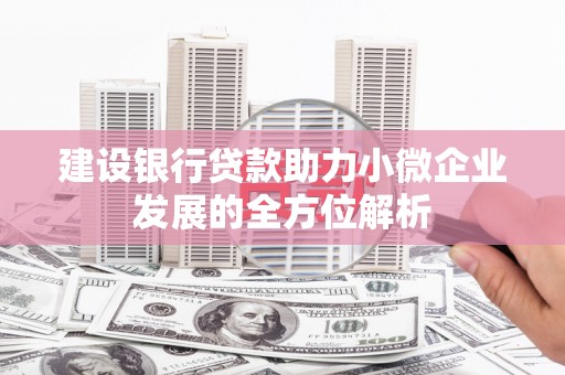 镇巴建设银行贷款助力小微企业发展的全方位解析