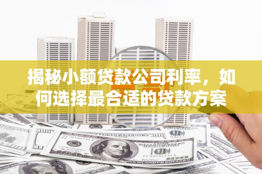 镇巴揭秘小额贷款公司利率，如何选择最合适的贷款方案